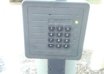 pic10